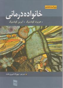 خانواده درمانی اثر آیرین گولدنبرگ هربرت گولدنبرگ ترجمه مهرداد فیروز بخت