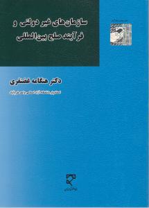 سازمان های غیردولتی و فرآیند صلح بین المللی اثر هنگامه غضنفری