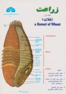 کتاب زراعت (جلد اول) ؛ (غلات) اثر قربان نورمحمدی